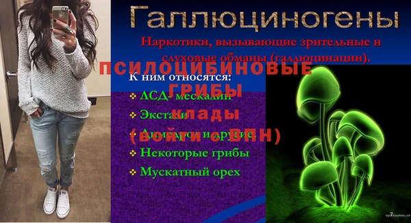 молекула духа Лихославль