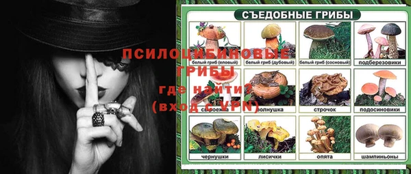 молекула духа Лихославль