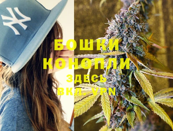 молекула духа Лихославль