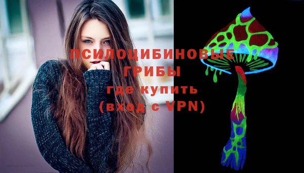 молекула духа Лихославль